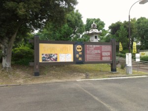 FB_IMG_13737722241753160 (800x600)